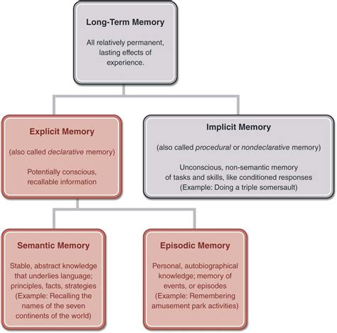 Flow Chart Showing The Components Of Long Term Memory At The Top Of