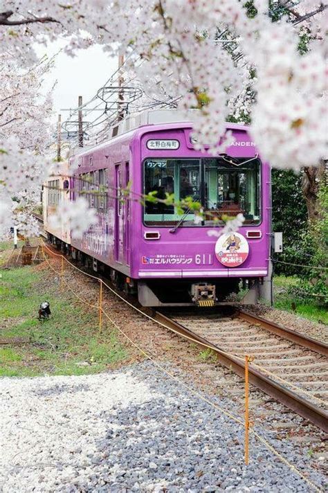 Pinkpurple Train Japan Kyoto Beautiful World Beautiful Places