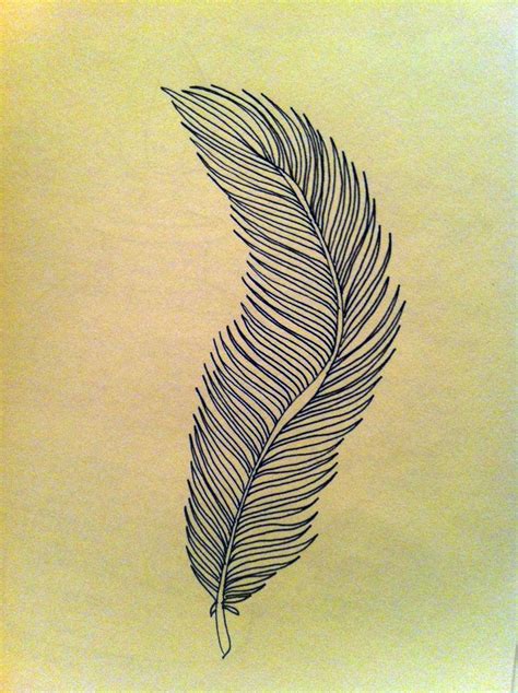 Feather Illustrationcurve Feather Illustration Illustration