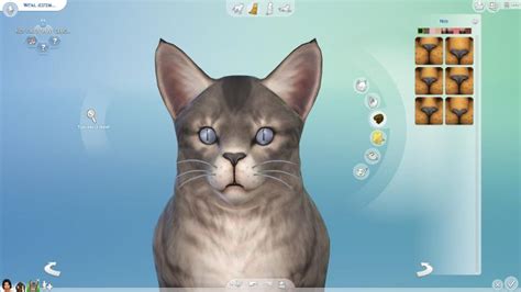 The Sims 4 Cats And Dogs Pet Edition And Creation Breed Builds Color