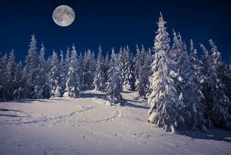Beautiful Winter Landscape In The Stock Image Colourbox