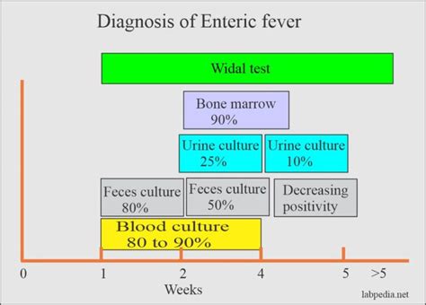 Enteric Fever Part 1 Typhoid Fever Enteric Fever Salmonella Typhi