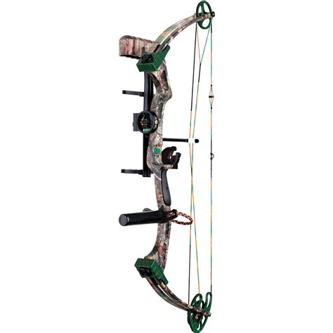 Compound Bow