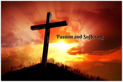 Passion and Suffering | Passion, Suffer, Definition of passion