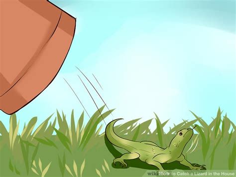 After capturing the lizard, please don't be tempted to keep it as a pet. How to Catch a Lizard in the House: 14 Steps (with Pictures)