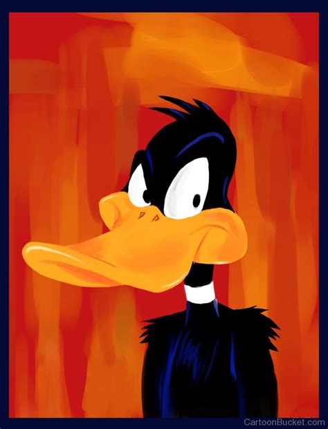 Daffy Duck Pictures Images