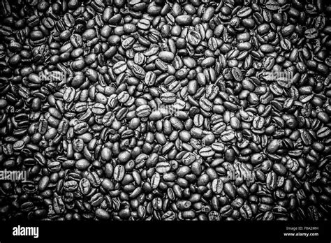 Coffee Beans Texture Stock Photo Alamy