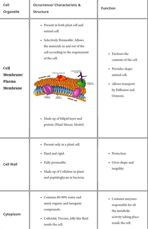 The cell membrane is selectively permeable in nature, consisting of a lipid bilayer with proteins, glycolipids, and cholesterol attached to them in a specific pattern. What are organelles? Name three organelles present in an ...