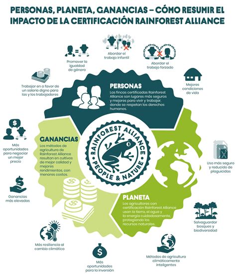 Cómo La Certificación Rainforest Alliance Beneficiará A Su Empresa