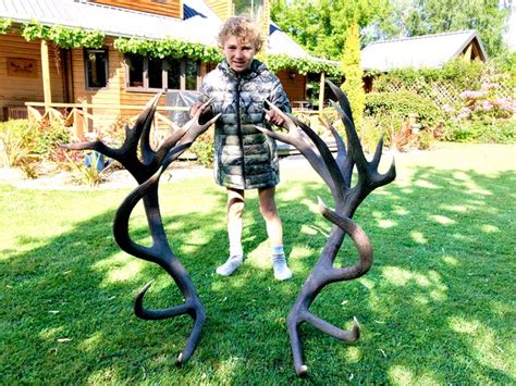 Shed Hunting Red Stag Antlers New Zealand · New Zealand Safaris