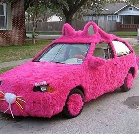 Fuzzy Pink Cat Car Ratbge