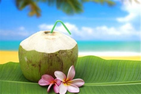 Maka, cobalah untuk mengkonsumsi air kelapa. Kebaikan Air Kelapa Untuk Kesihatan | Zul Muhammad
