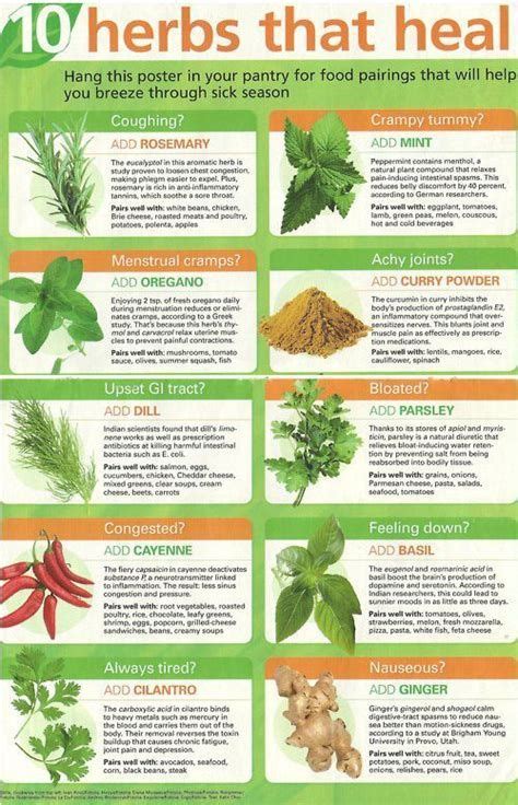 Herbs Table Chart Pdf Healing Herbs Herbs Healing Food