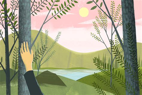 How To Be Mindful On A Hike The New York Times