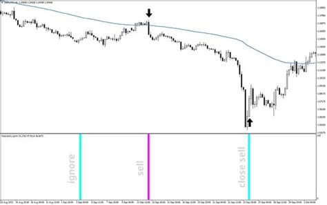 Forex Entry Point Indicator Mt4 Free Download Best Forex Indicators