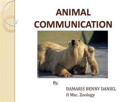 4 Types Of Animal Communication Ppt Sienaqobarajas