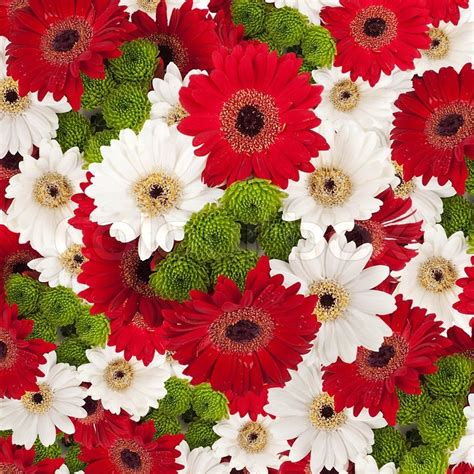 White And Red Flowers Bouquet Of Stock Image Colourbox