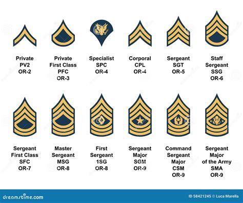 Army Enlisted Rank Insignia Stock Vector Illustration Of Emblem America