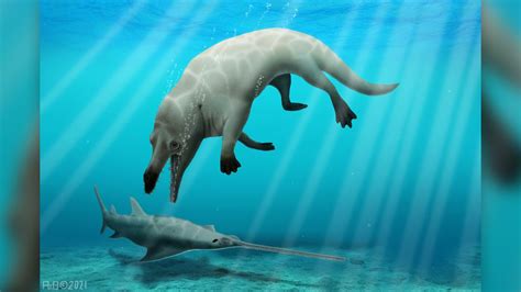 Walking Whale Ancestor Named After Egyptian God Of Death Live Science