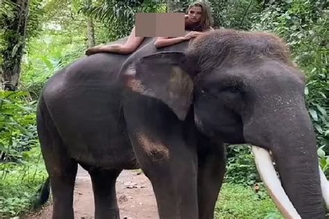 Pose Bugil Di Atas Gajah Model Cantik Asal Rusia Diperiksa Polda Bali