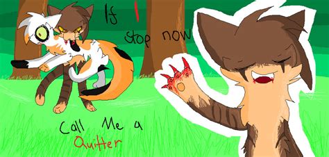 Tigerclaw X Redtail Noot By Shadow Foxxx On Deviantart