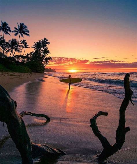 Sunset Surf Sessions North Shore Haleiwa Hawaii In Sunset