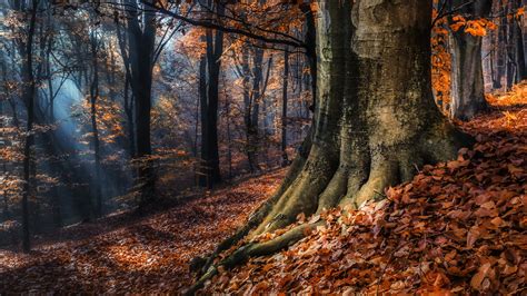 Autumn In Germany Wallpapers Wallpaper Cave