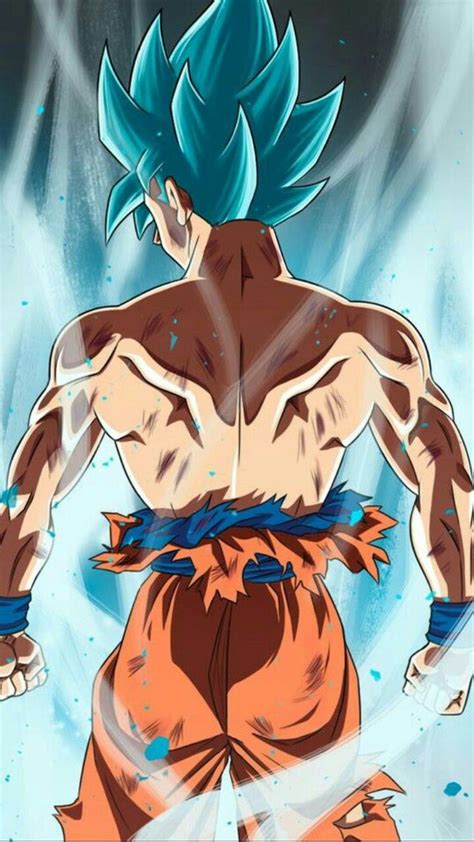 Menyadari bahwa alam semesta masih memiliki banyak orang yang lebih kuat untuk dilihat, goku menghabiskan seluruh hari pelatihannya untuk mencapai ketinggian yang lebih besar. Goku Ssj Blue. | Anime dragon ball super, Dragon ball ...