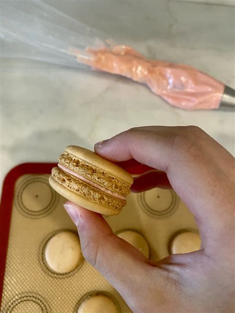 No Fail French Macarons 11 Steps With Pictures Instructables