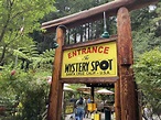 The iconic but baffling Santa Cruz Mystery Spot is more than just a ...
