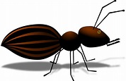 Ant Cartoon - ClipArt Best