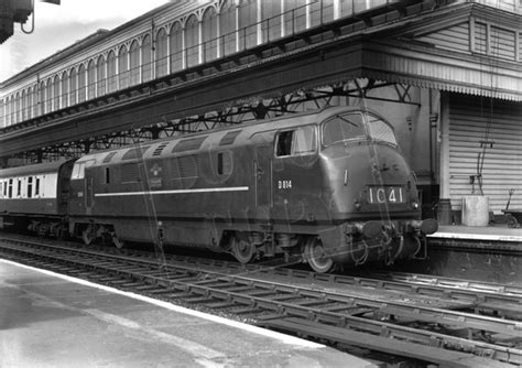 Rail Online Class 42 Warship D814 1960 09 17 Exeter