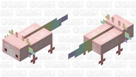 Uwu The Minecraft Mob Skin Pastel Rainbow Axolotl Was Posted By