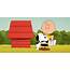 The Snoopy Show Boss Reveals Peanuts Universe Rules  CBR