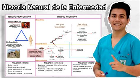 Historia Natural De La Enfermedad F Cil Youtube