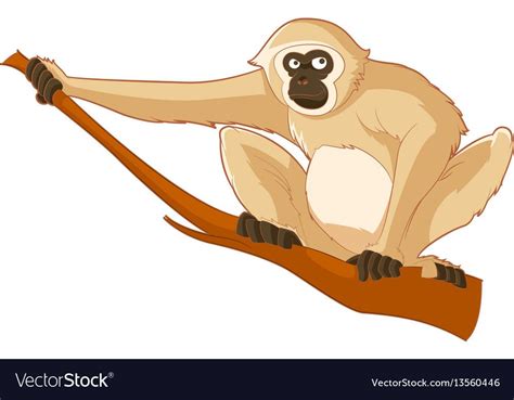 Cartoon Smiling Gibbon Vector Image On VectorStock