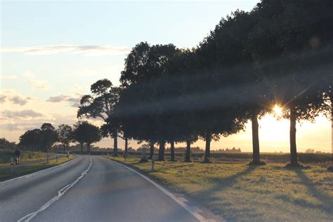 Fotos Gratis Paisaje árbol Naturaleza Camino Horizonte Ligero