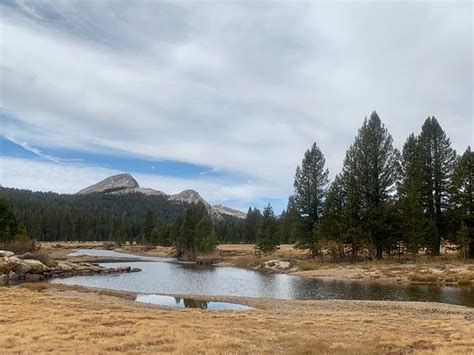 Tuolumne Meadows Parco nazionale Yosemite AGGIORNATO tutto quello che c è da sapere