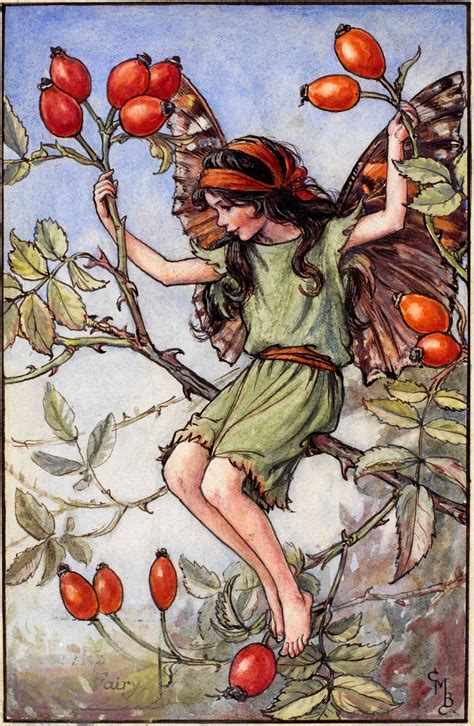 The Rose Hip Fairy Flower Fairies