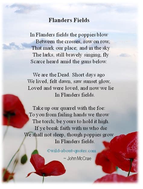 Flanders Fields Lest We Forget Remembrance Day Flanders Fields