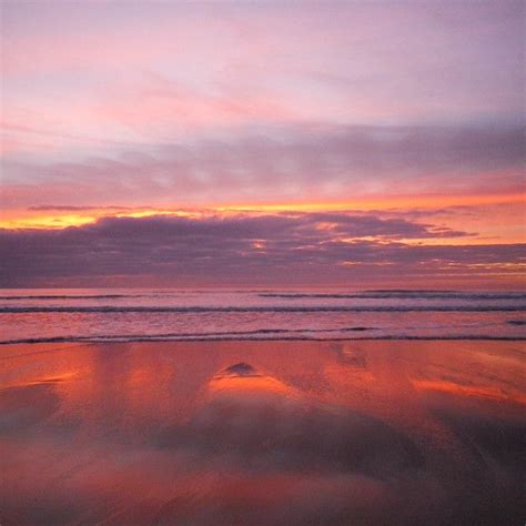 Purple Pink And Rose Gold Sunset Sandymouth Beach Cornwall By Richard
