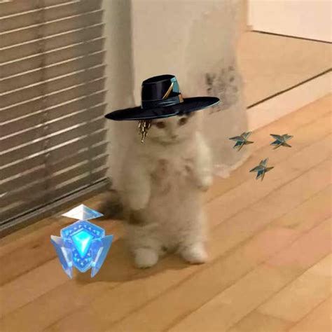 Just Made Seer Out Of The Standing Cat Meme Free To Use Btw R