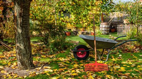 10 Fall Gardening Tips To Prepare Your Garden For Cold Season