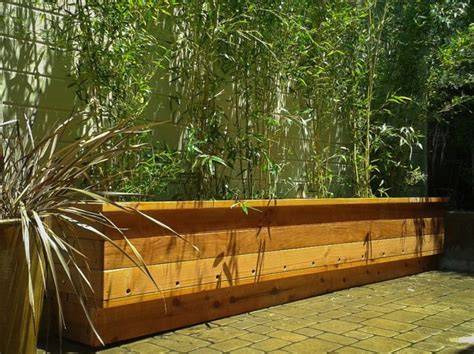 Bamboo For Privacy Screening Bamboo Sourcery Nursery And Gardens