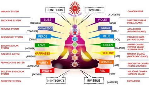 How To Read Auras What Is The Meaning Of Each Color Nexus Newsfeed
