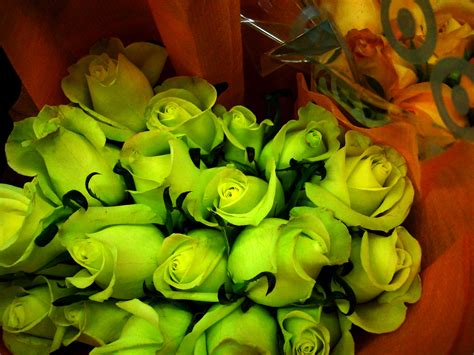 Ever Give A Green Rose Significance Explained
