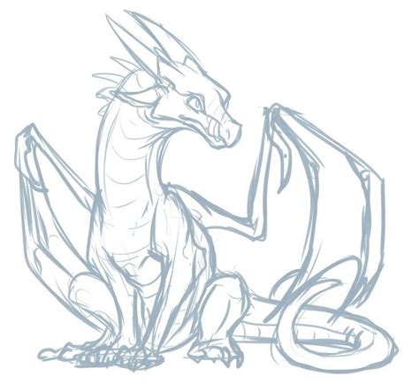 Dragon Dragon Sketch Dragon Poses Drawings