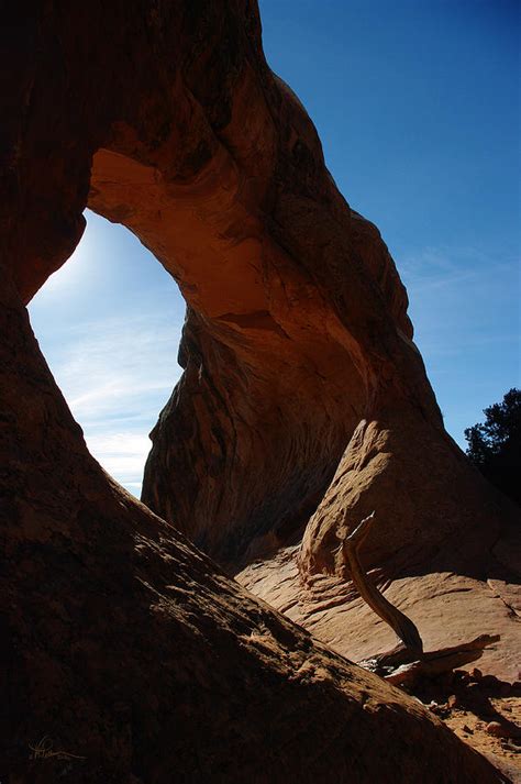 Morning Light Photograph By Vicki Pelham Fine Art America