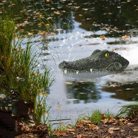 In addition, there is usually swimming pool pump for drawing water it is not convenient to do so. Simulation Crocodile Remote Control Boat Floating On Water ...