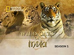 Prime Video: Wild Cats of India - Season 1